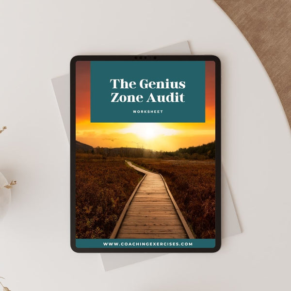 Genius Zone Audit