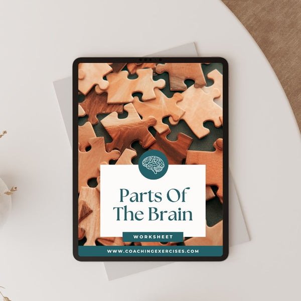 Parts Of The Brain Worksheets