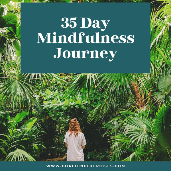 The 35-Day Mindfulness Journey Programme