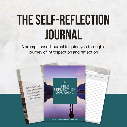 Self-Reflection Journal