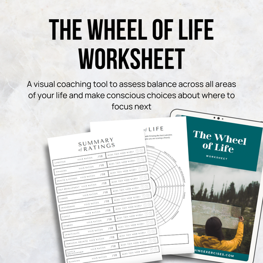 Wheel of Life Worksheet